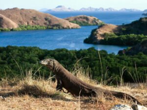 KomodoIsland_galley